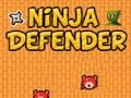Lojë Mbrojtësi i Ninjas  në internet