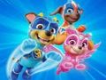 Lojë Libër ngjyrosje për Paw Patrol  në internet