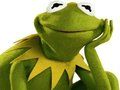 Lojë Libër për t'u ngjyrosur për Kermit Frog  në internet