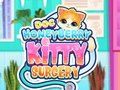 Lojë Doc Honeyberry Kitty Kitty në internet