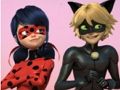 Lojë Jigsaw Puzzle Mollëkuqe e mrekullueshme dhe Cat Noir  në internet