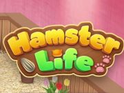 Lojë Puzzle Jeta e Hamsterit  në internet