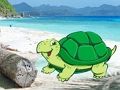 Lojë Arratisje palë gaforre e plazhit  në internet