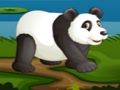 Lojë Panda futbolli  në internet