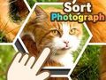 Lojë Rendit fotografinë  në internet