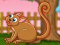 Lojë Arratisja Cute Tarsier  në internet