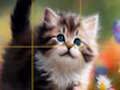 Lojë Kotele me rrëshqitje puzzle  në internet