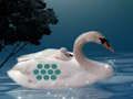 Lojë Save The Swan Nënë Child  në internet