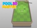 Lojë Pishina Master 3D në internet