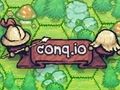 Lojë Konq. io  në internet