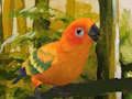 Lojë Puzzle Cute Budgie  në internet