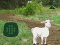 Lojë Bricjapi Gjeni Fëmijën  në internet