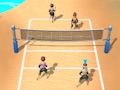 Lojë Volejboll plazhi 3D  në internet