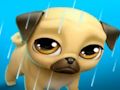 Lojë Kafsha ime Virtuale Louie the Pug  në internet