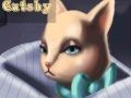 Lojë Catsby e Madhe  në internet