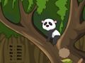 Lojë Arratisje nga xhungla panda  në internet