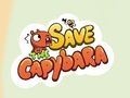 Lojë Ruaj Capybara  në internet