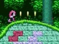 Lojë Mighty & Ray në Sonic 2  në internet