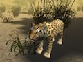 Lojë Simulator i Gjuetisë së Cheetah Afrikan  në internet
