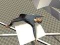 Lojë Test Ragdoll  në internet