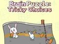 Lojë Puzzle truri: Zgjedhje të ndërlikuara  në internet