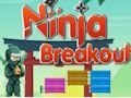Lojë Ninja Breakout në internet