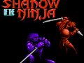 Lojë Hija e Ninjas  në internet