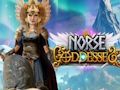 Lojë Perëndesha norvegjeze  në internet