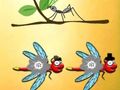 Lojë Gjeni Dragonfly Cooper  në internet