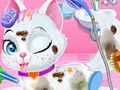 Lojë Kujdesi për Veterinarinë për Kafshët e Fëmijëve  në internet