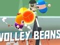 Lojë Fasule Volley  në internet