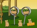 Lojë Emri i koduar Kids Next Door Flight of the Hamsters  në internet