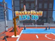 Lojë Jeta e Basketbollit 3D  në internet