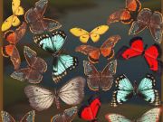 Lojë MergeButerFly: 2048! në internet