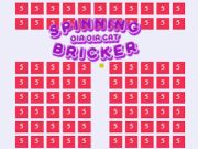 Lojë Tjerrje uia uia mace bricker  në internet