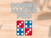Lojë Domino Master Pro në internet