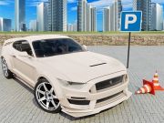 Lojë Simulator Car 3D  në internet