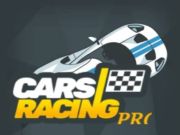 Lojë Makina Racing Pro në internet