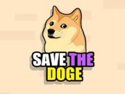 Lojë Ruani Doge në internet