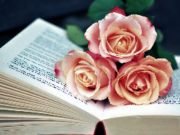 Lojë Libri i Blooms Jigsaw në internet