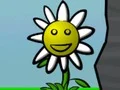 Lojë Flower Power në internet