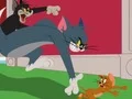 Lojë Tom and Jerry: Chasing Jerry në internet