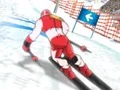 Lojë Winter Sports: Slalom Hero në internet
