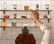 Lojë Ratatouille në internet