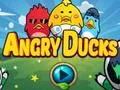 Lojë Angry Ducks në internet