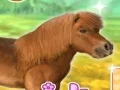 Lojë My Dear Pony në internet