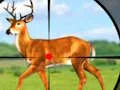Lojë Wild Hunt Hunting Games 3D në internet