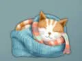Lojë Adorable Escape Find Cute Kitten në internet