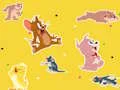 Lojë The Tom and Jerry Show Find it! në internet