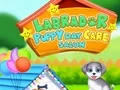 Lojë Labrador Puppy Daycare Salon në internet